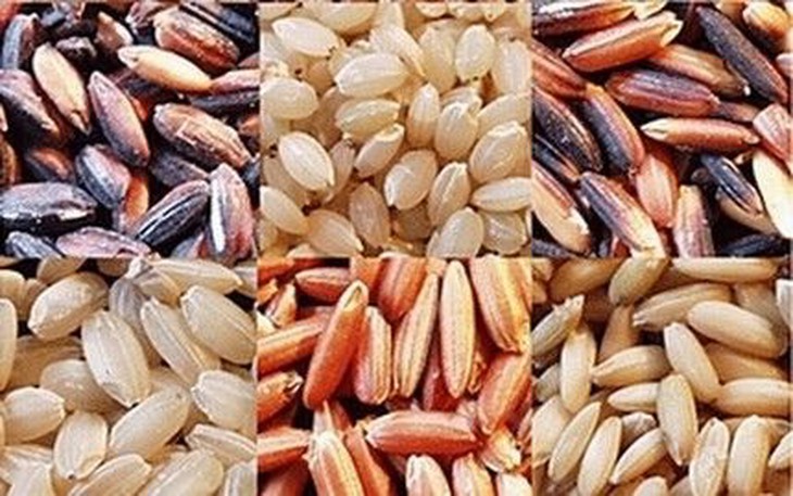 Gạo lứt
